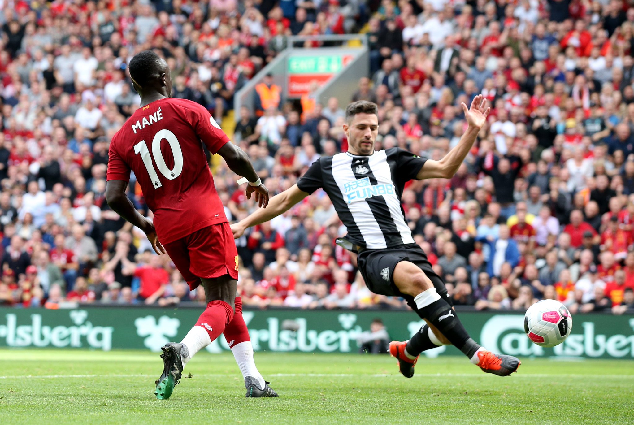 动地展示了 动地展示了